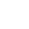 sl-ic-0011.png