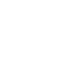 sl-ic-0021.png