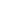 sl-ic-0031.png